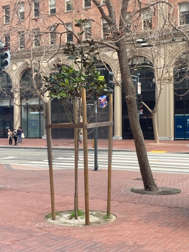 A tree with an upside down box of poptarts stuck in the branches.