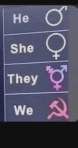 "He": the Mars symbol; "She": the Venus symbol; "They": the combined-male-and-female and crossed symbol; "We": the Communist hammer and sickle.